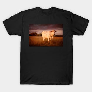 Bullock#6 T-Shirt